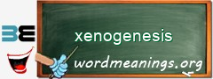 WordMeaning blackboard for xenogenesis